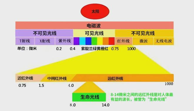 〔读城〕从波谱学看量子艺术